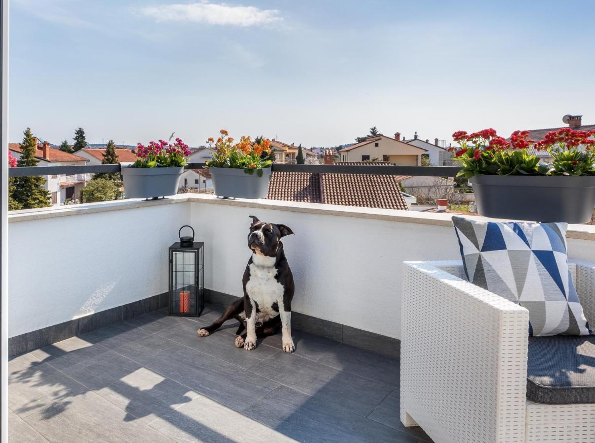 Apartman Nina Fazana Bagian luar foto